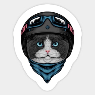 Fat Cat Rider Sticker